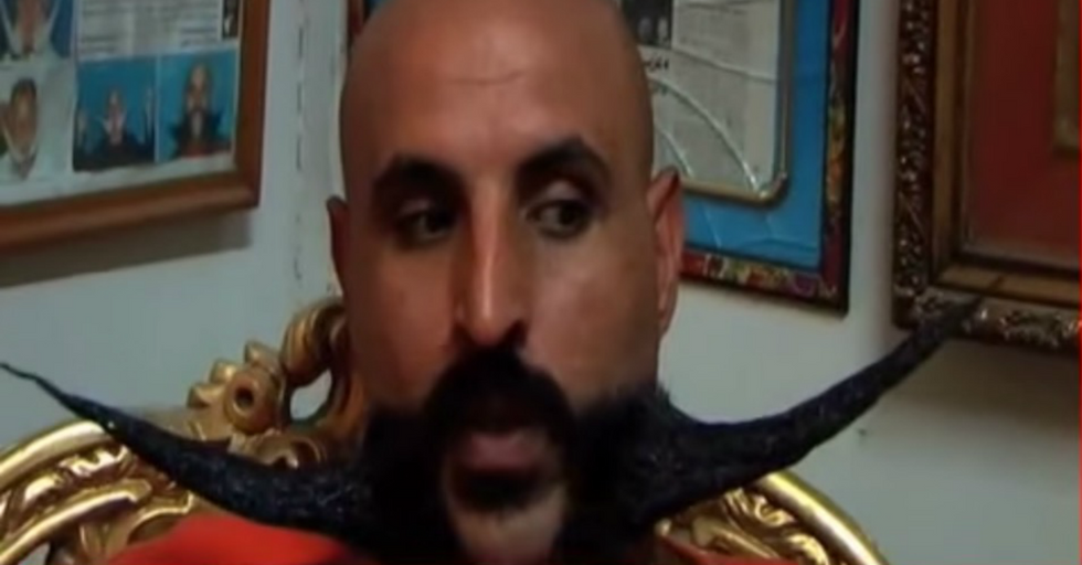 The Bizarrely Awesome New Trend Growing Wild In Egypt