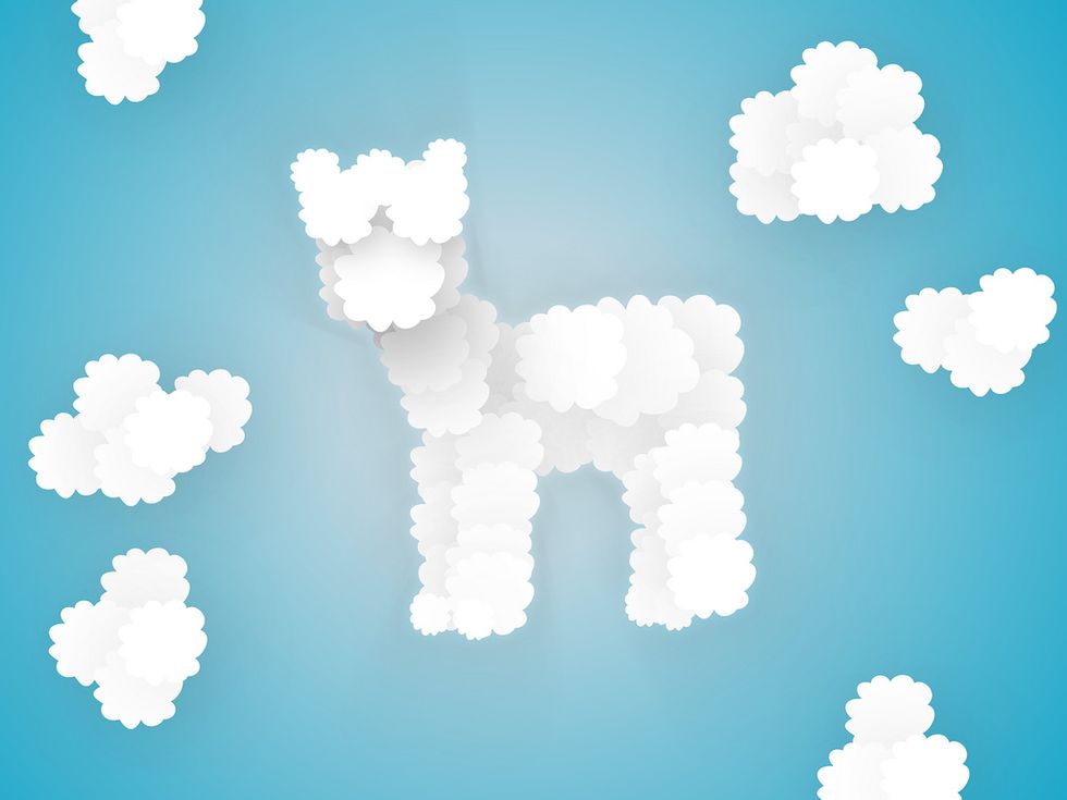 How A “Grass Mud Horse” Leapt Over China’s Great Internet Firewall