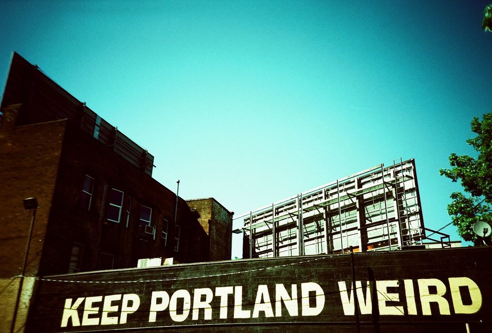 Street Artist Shepard Fairey Makes Hilarious Cameo on Portlandia