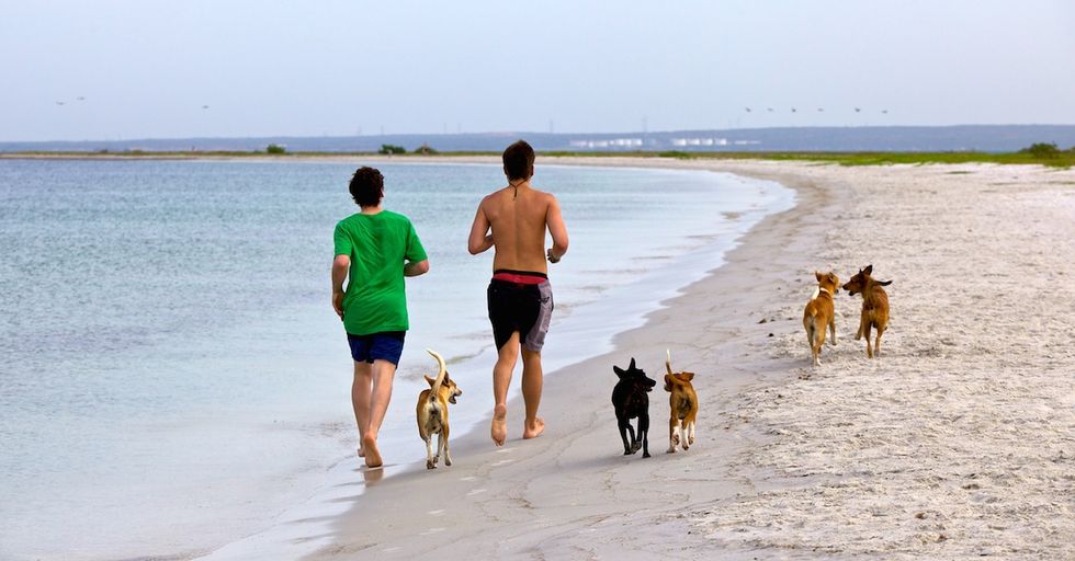 Jogging Too Much Will Probably Kill You, Too