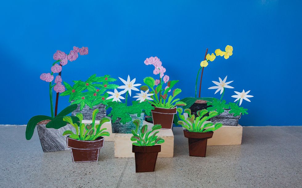 Don’t Touch the Wild Venus Flytraps