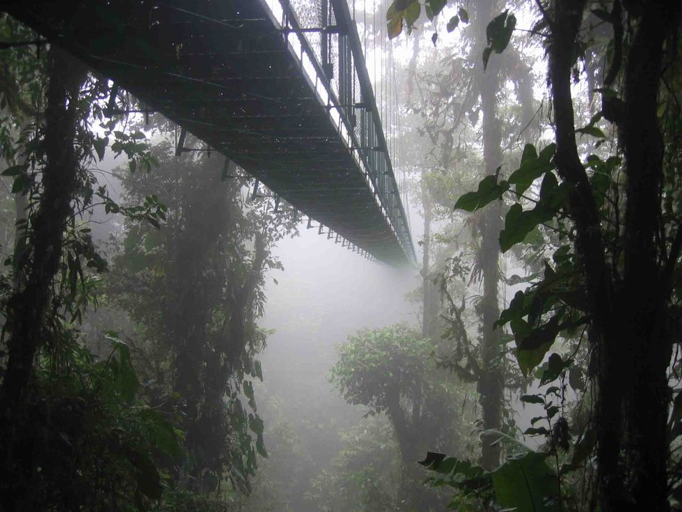 The Disappearing Clouds in a Costa Rican Cloud Forest