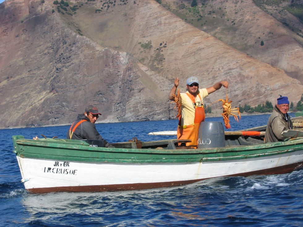 Ocean Acidification is Hurting Maine’s Lobster Economy