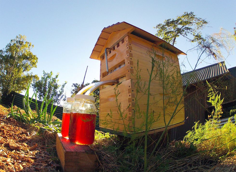 New Non-Invasive Honey Harvesting Device To Keep Bees Happy