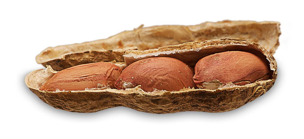 New Study Says Feed Babies Peanuts to Avoid Allergies
