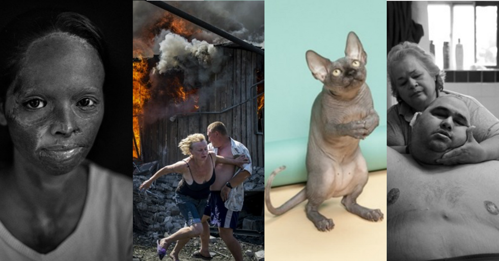 14 Stunning Finalist Photos from the World Photography Awards