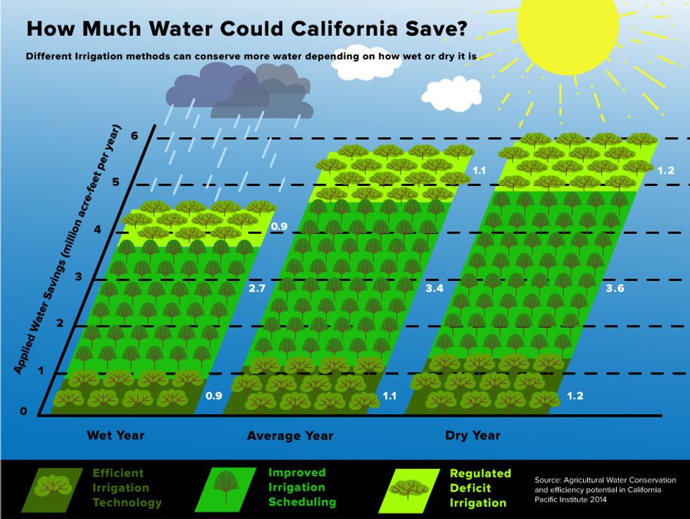 How Much Water Could California Save?