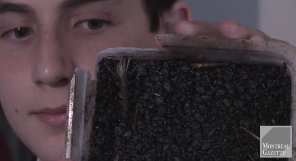 Teen Solves Pothole Problem with Chicken Feathers