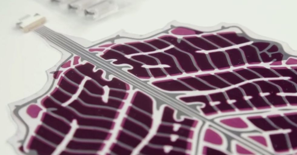 Scientists in Finland Have Created 3D Printed Trees that Harvest Energy