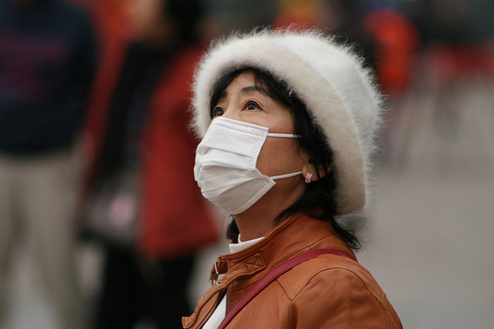 When Pollution Solutions Can Actually Damage the Environment