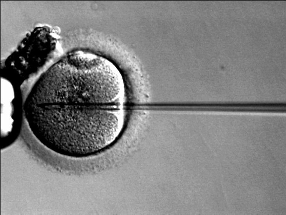 Japanese City Will Pay for Women to Freeze Their Eggs