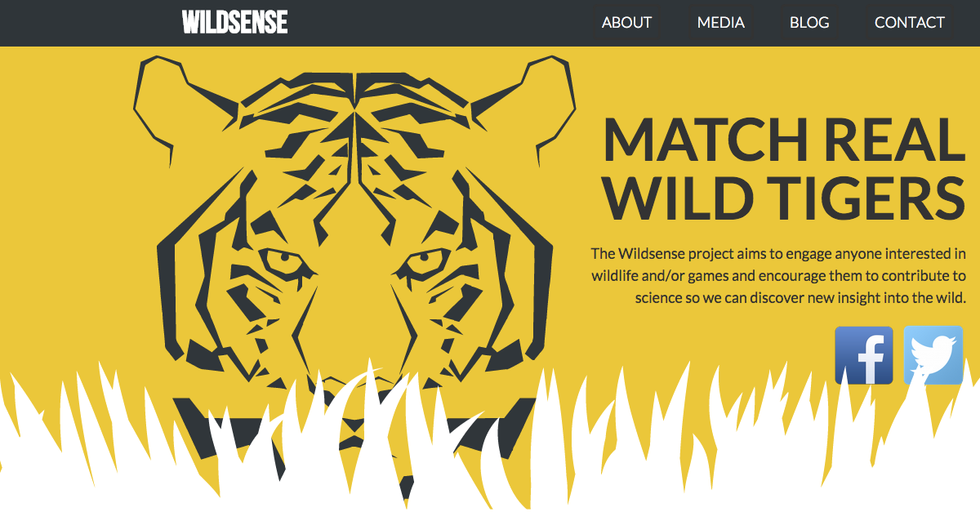 You Can Help Track Tigers Around the World With This App