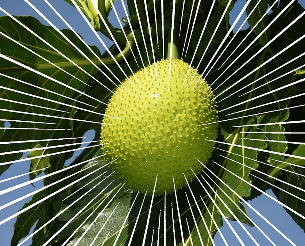 The Economic Case for Loving This Spiky, Tropical Fruit