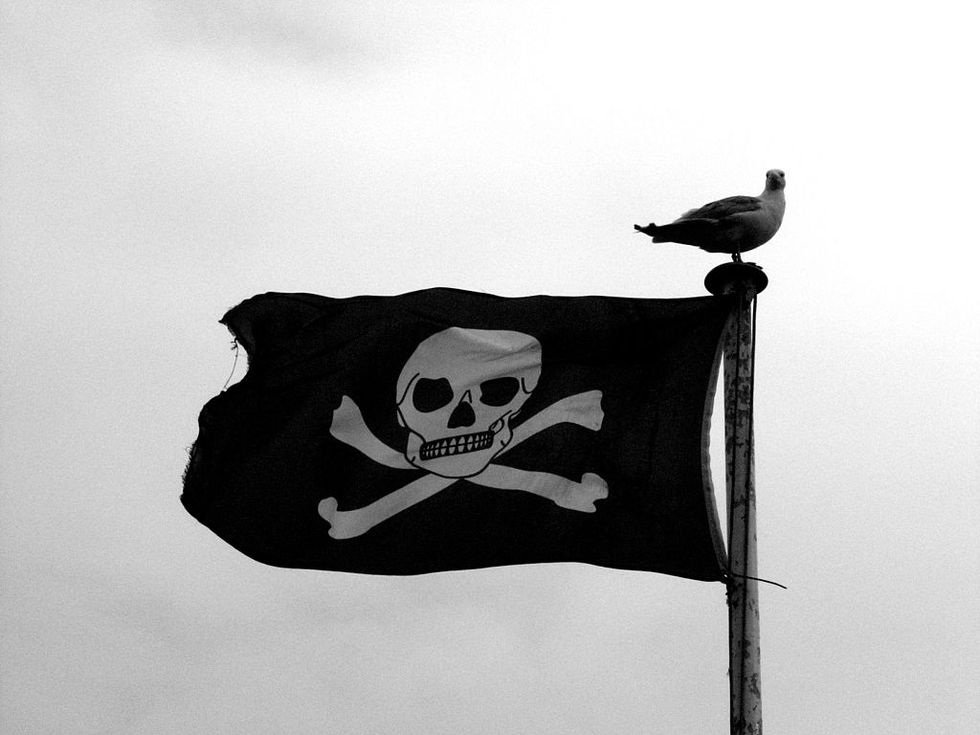 The Pirate Party is Now the Most Popular Political Group in Iceland