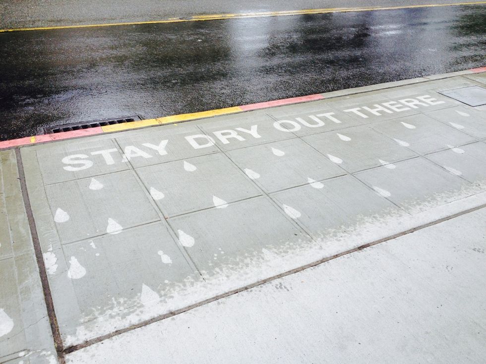 Seattle Public Art Project Only Appears When It Rains...