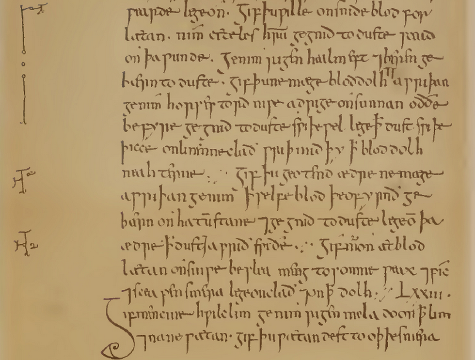 Scientists Uncover Ancient Remedy That Might Just Cure An Antibiotic-Resistant Superbug