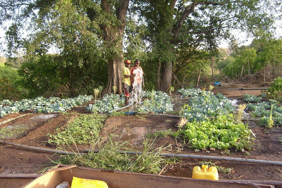 A Flood of Good Intentions in Senegal