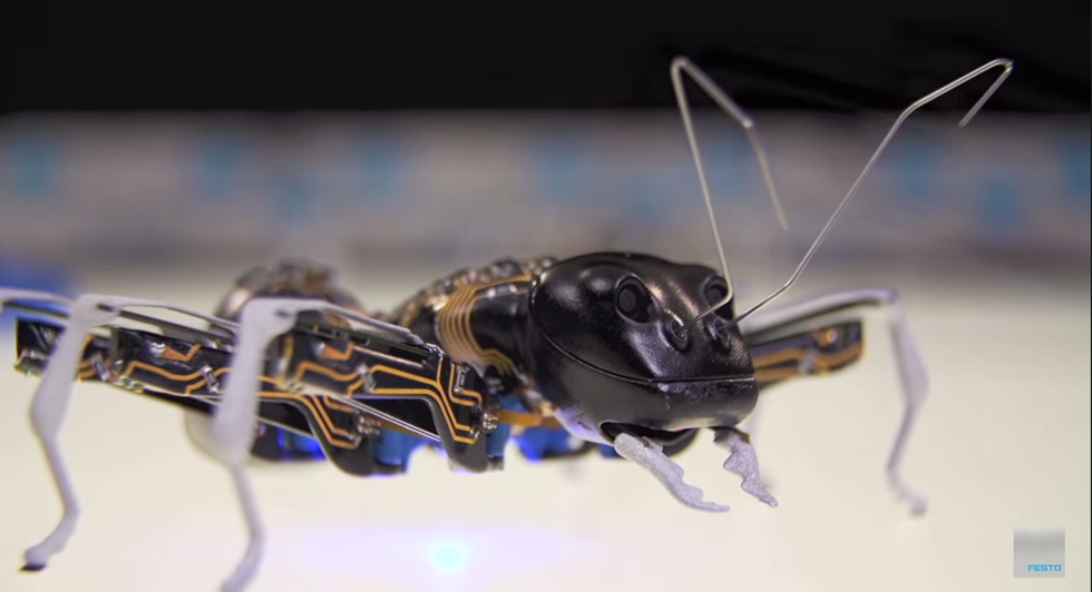 “BionicANTs” And “eMotion Butterflies” Bridge The Gap Between Robots and Nature