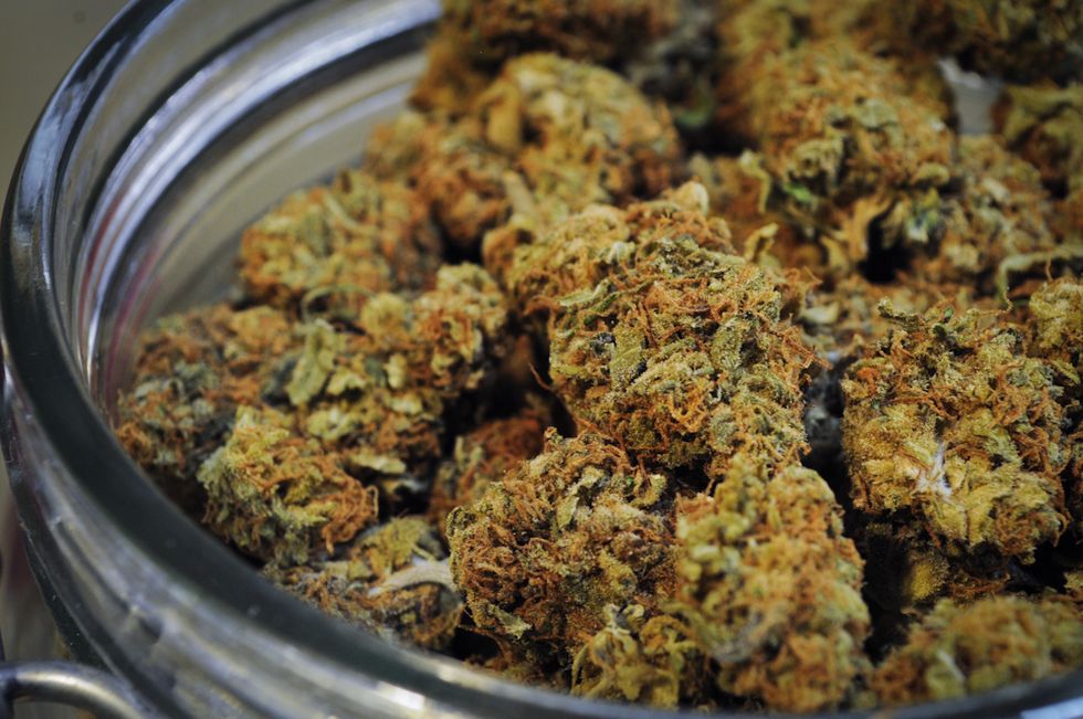 Legal Weed Cuts Into Cartel Activity