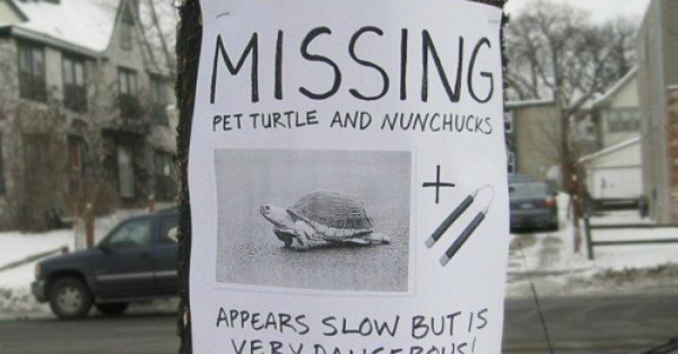 14 Hilarious And Clever Lost Pet Posters