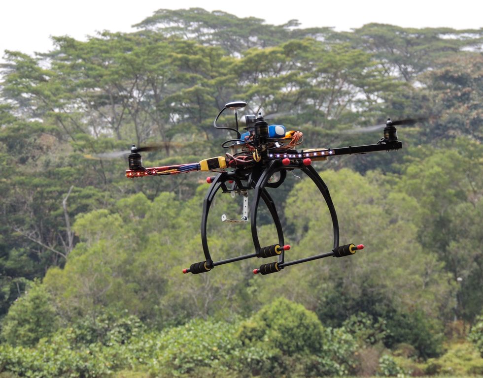 Want To Plant One Billion Trees In A Single Year? Try Drones.