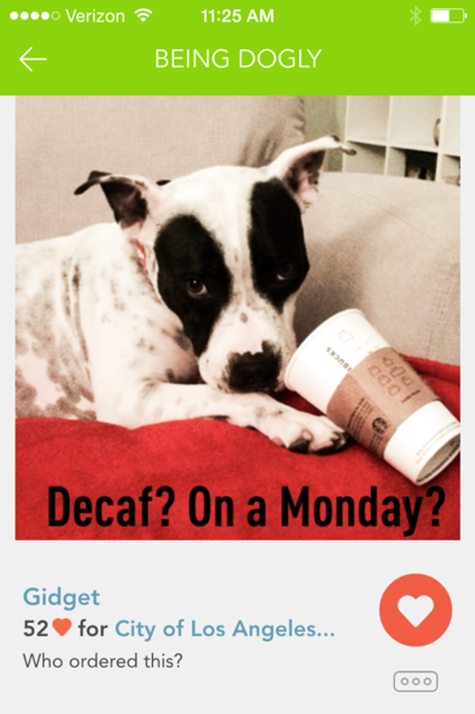 Save An Adorable Dog Through Social Media
