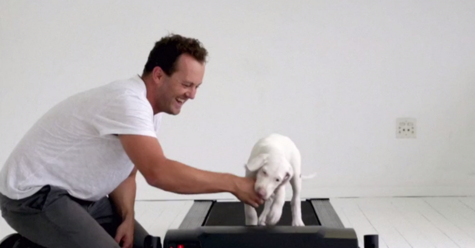 Rescue Puppy Defies the Odds and Grows Up Before Your Eyes