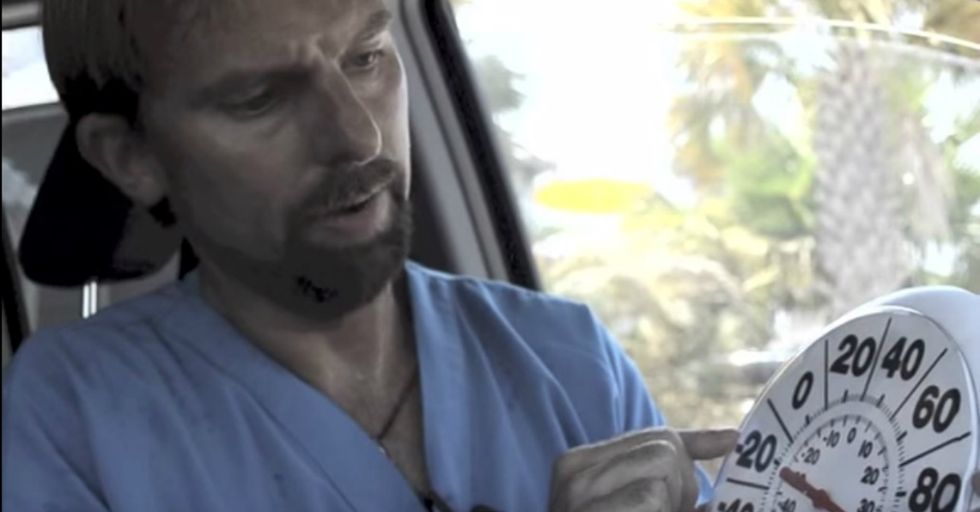 Brave Veterinarian Locks Himself in a Hot Car to Save Dogs