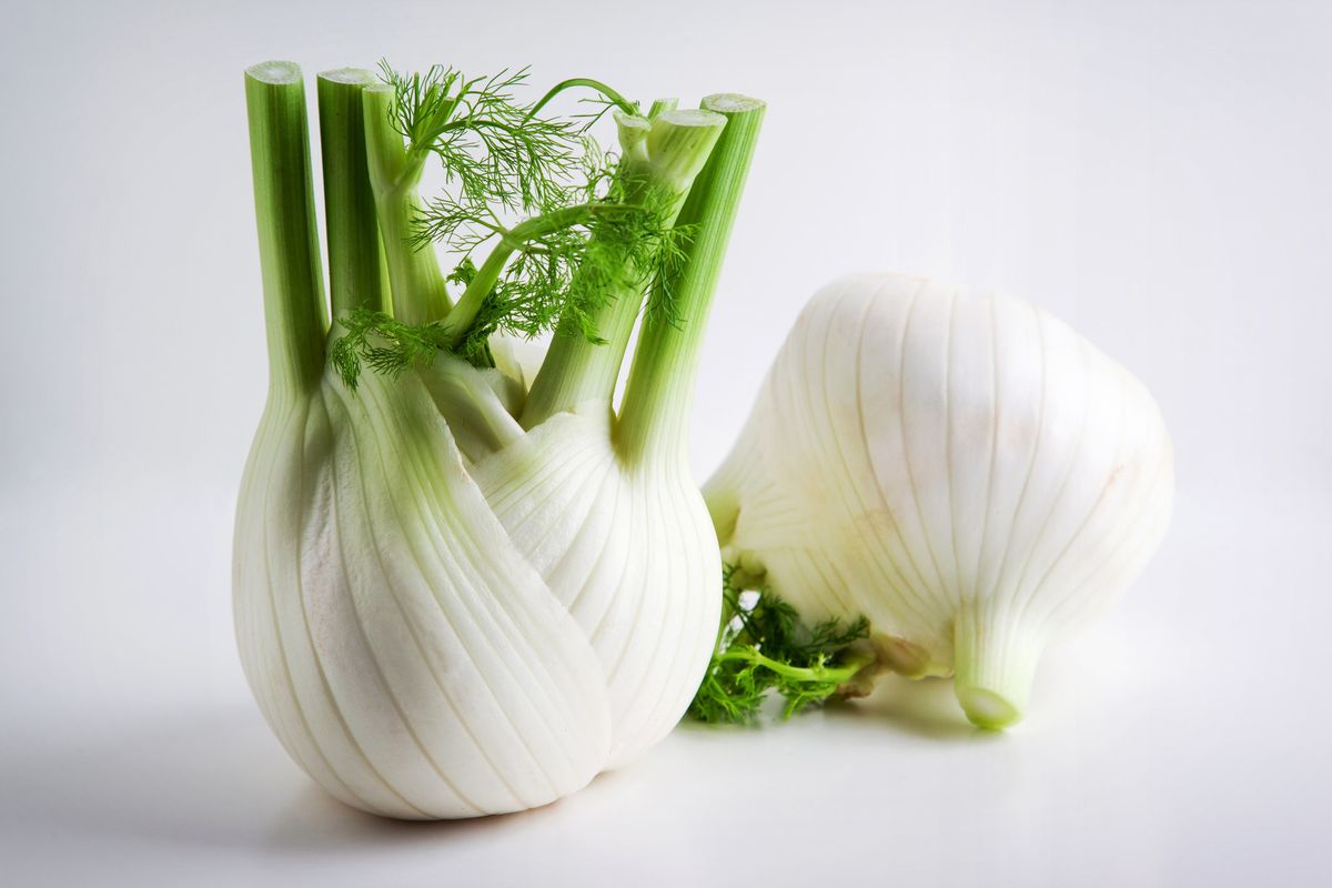 La civiltà del fuoco nascosta in un finocchio