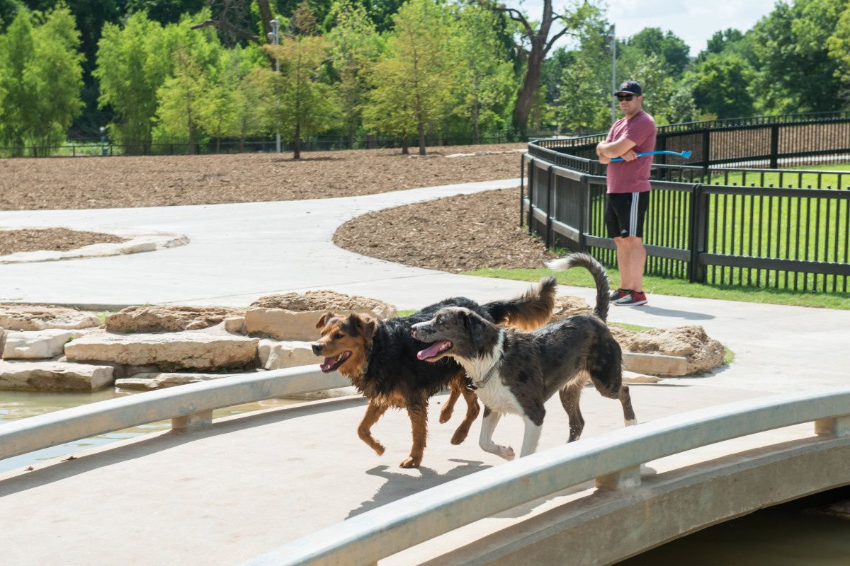 Ken Hoffman warns of the dangers in Houston dog parks