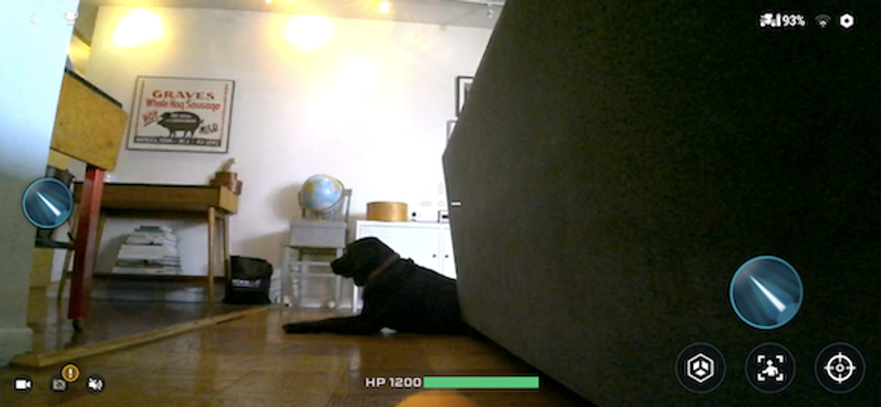 Looking through the camera view of the RoboMaster, a dog against a gray couch