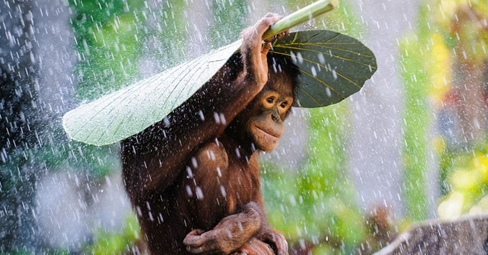 2015 National Geographic Photography Contest Winners Countdown