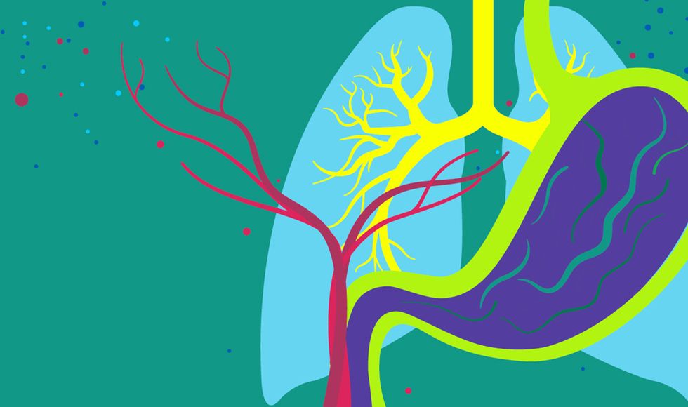 An Interactive Guide to Nutrition and the Human Body