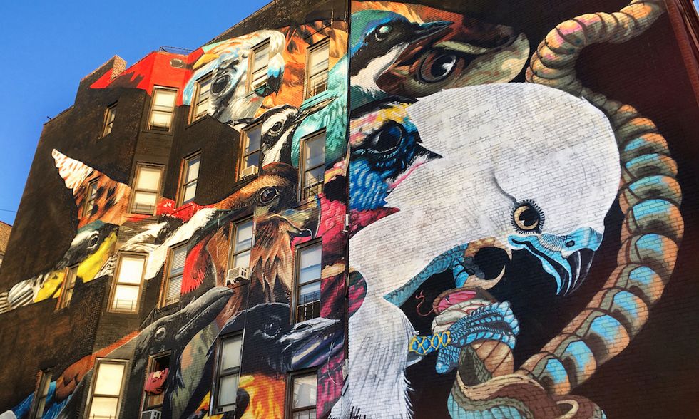 Street Artists and Muralists to Paint All 314 Threatened North American Bird Species