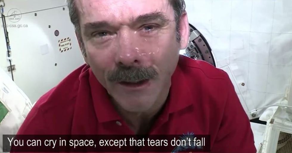 Cool Compilation of Astronaut Chris Hadfield’s Space Videos