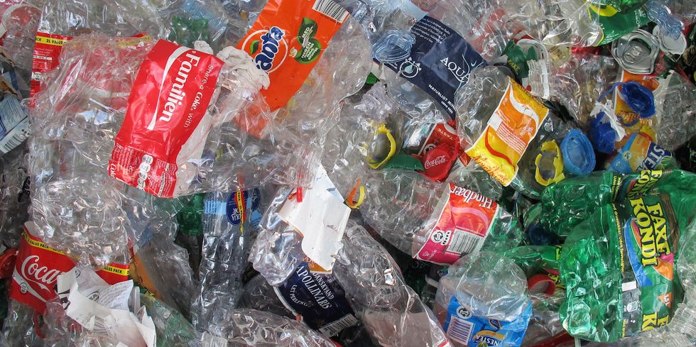 Japanese Researchers Discover Plastic-Eating Bacterium