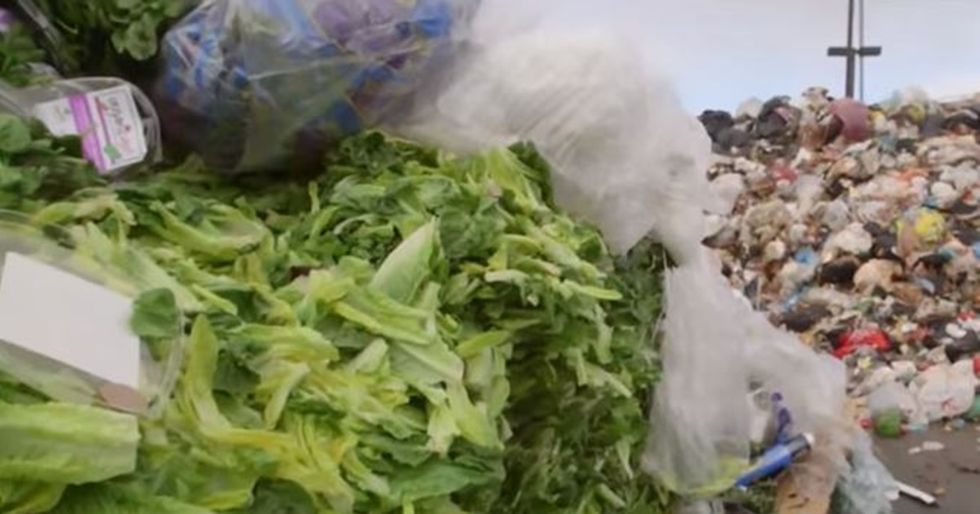 A New Italian Law Incentivizes Supermarkets to Donate Their Waste Food
