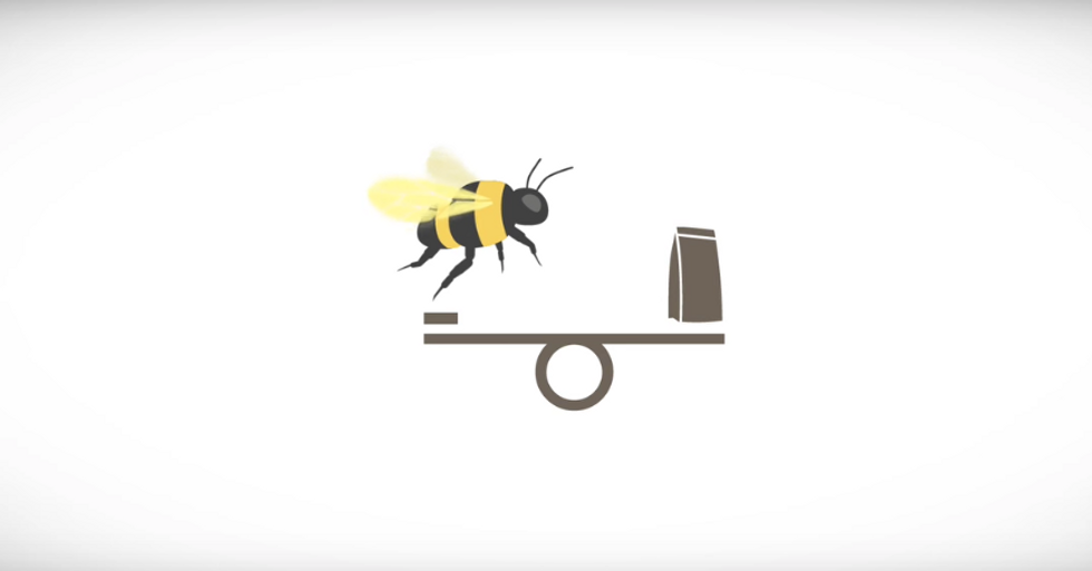 How Bees Can Take The Sting Out Of Pesticides