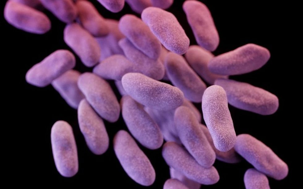 The Most Dreaded, Antibiotic-Resistant Superbug Just Reached The U.S.