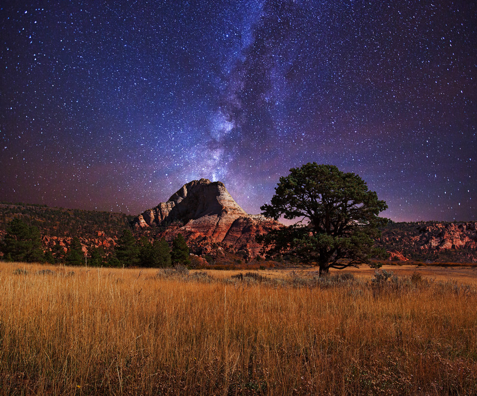 Celebrate 100 Years Of National Parks With This Stunning Road Trip