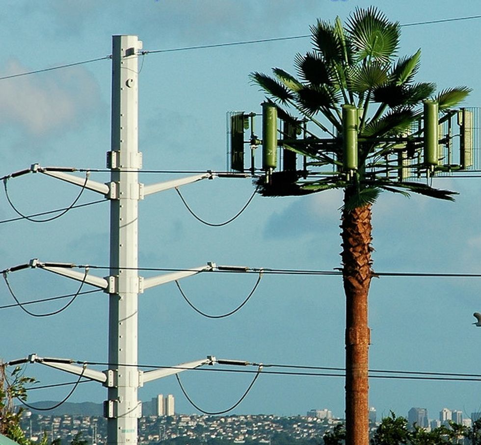The Best, Worst, and Strangest Cell Phone Towers Disguised as Trees GOOD