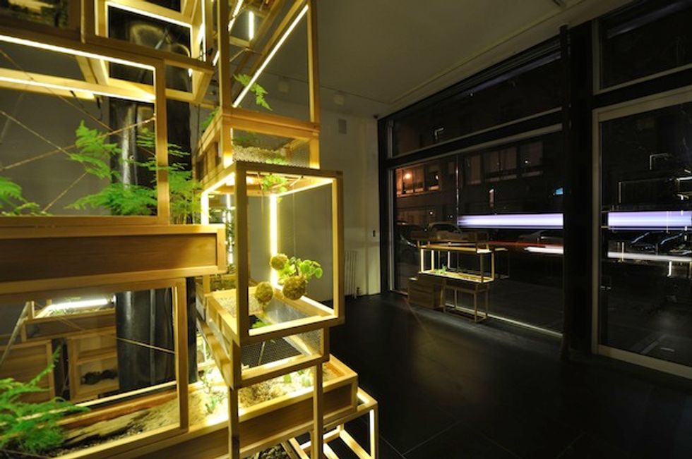 The of Plants What These Smart Terrariums Can Tell us About