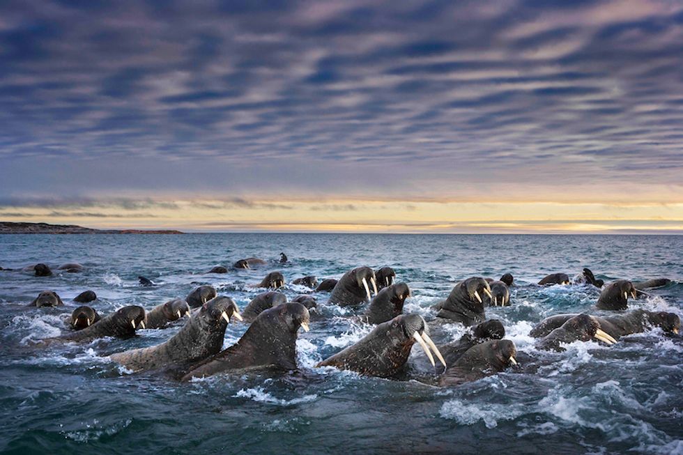 5 Stunning Nature Photos Prove Why We Need To Protect The Earth