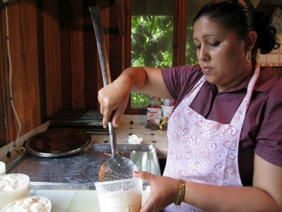 Making Impossible Cheese In Belize