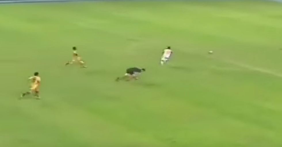 Footage Capturing Incredible Feat Suggests This Man May Have Actual Superhuman Speed