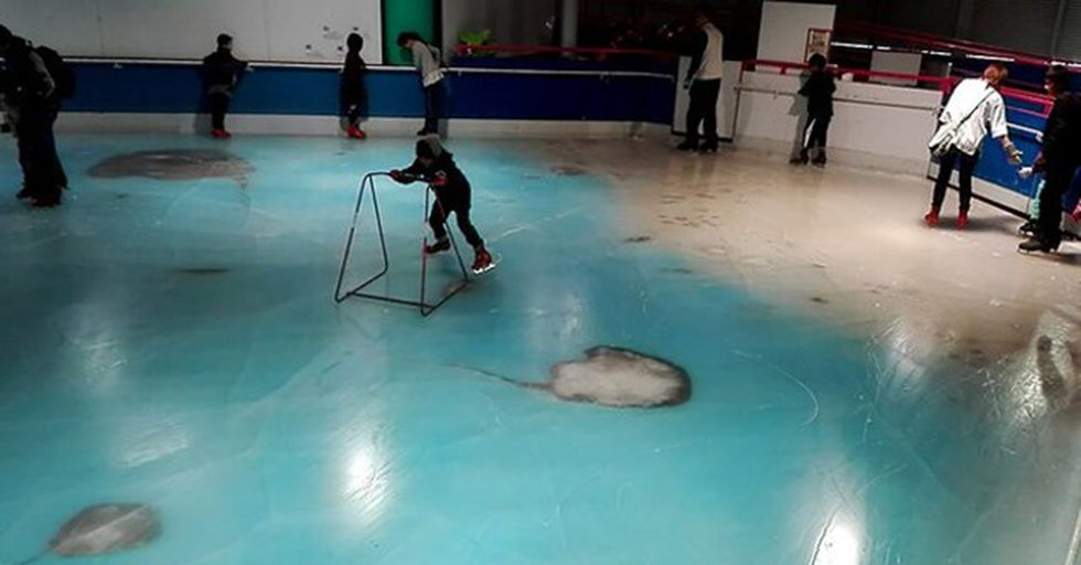 Japanese Theme Park Apologies For Intentionally Filling Frozen Rink With 5,000 Dead Fish