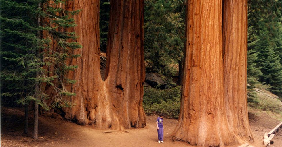 California Promises Swift Action If The Trump Administration Threatens Its Landmarks And Parks