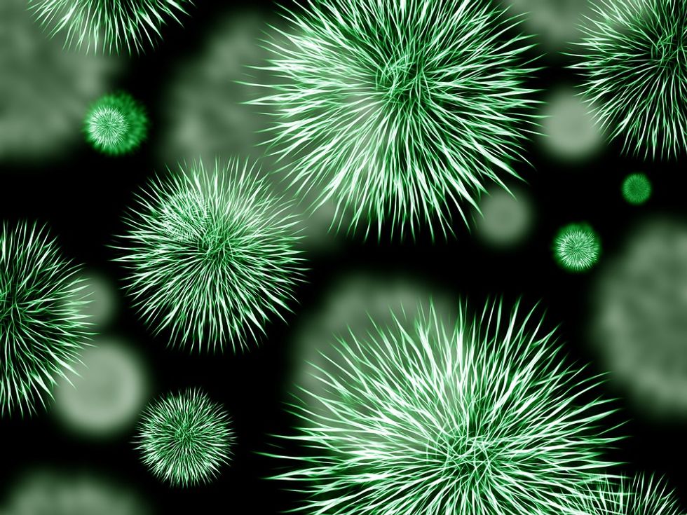 Bacteria Might Hold The Answers In The Global Battle Against Oil Spills