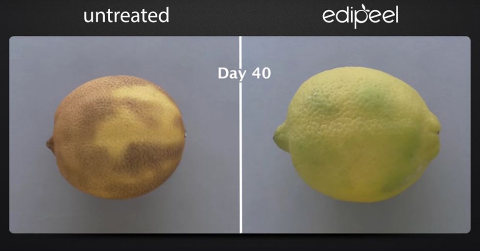 This Simple Innovation Extends Food’s Shelf Life, But Could End Up Changing The World