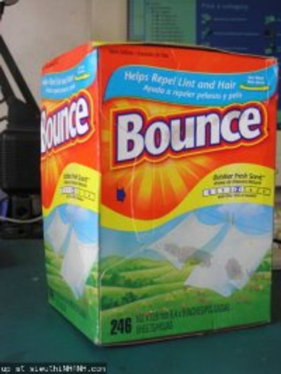 Rural Myth Proven Bounce Fabric Softener Repels Bugs Good